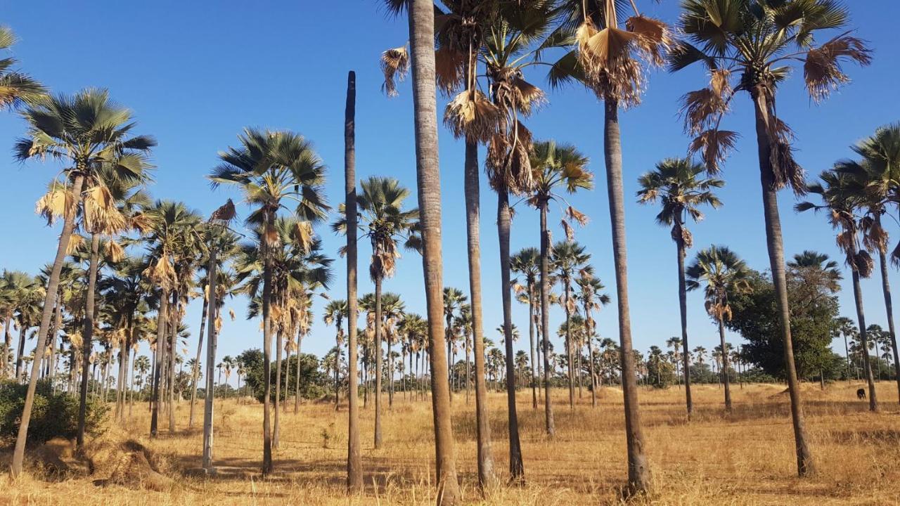 Villa Met Prive Zwembad In Residence Safari Village Saly Portudal Zewnętrze zdjęcie