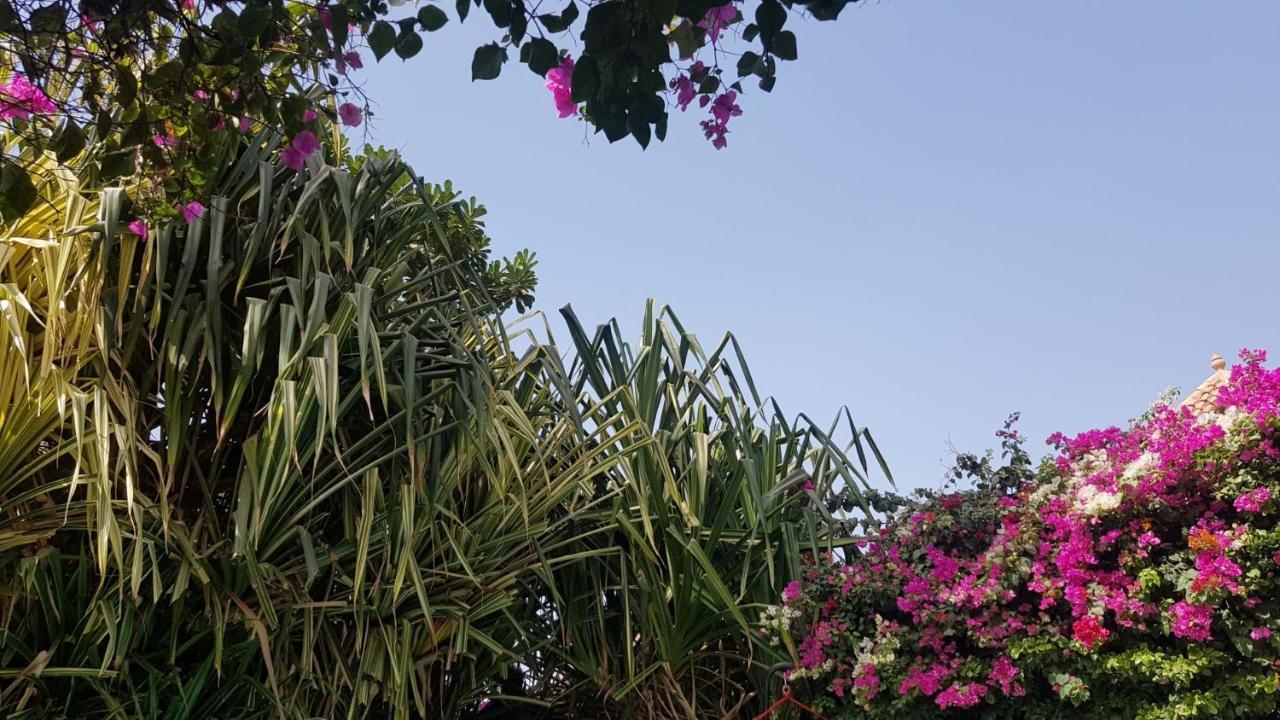 Villa Met Prive Zwembad In Residence Safari Village Saly Portudal Zewnętrze zdjęcie