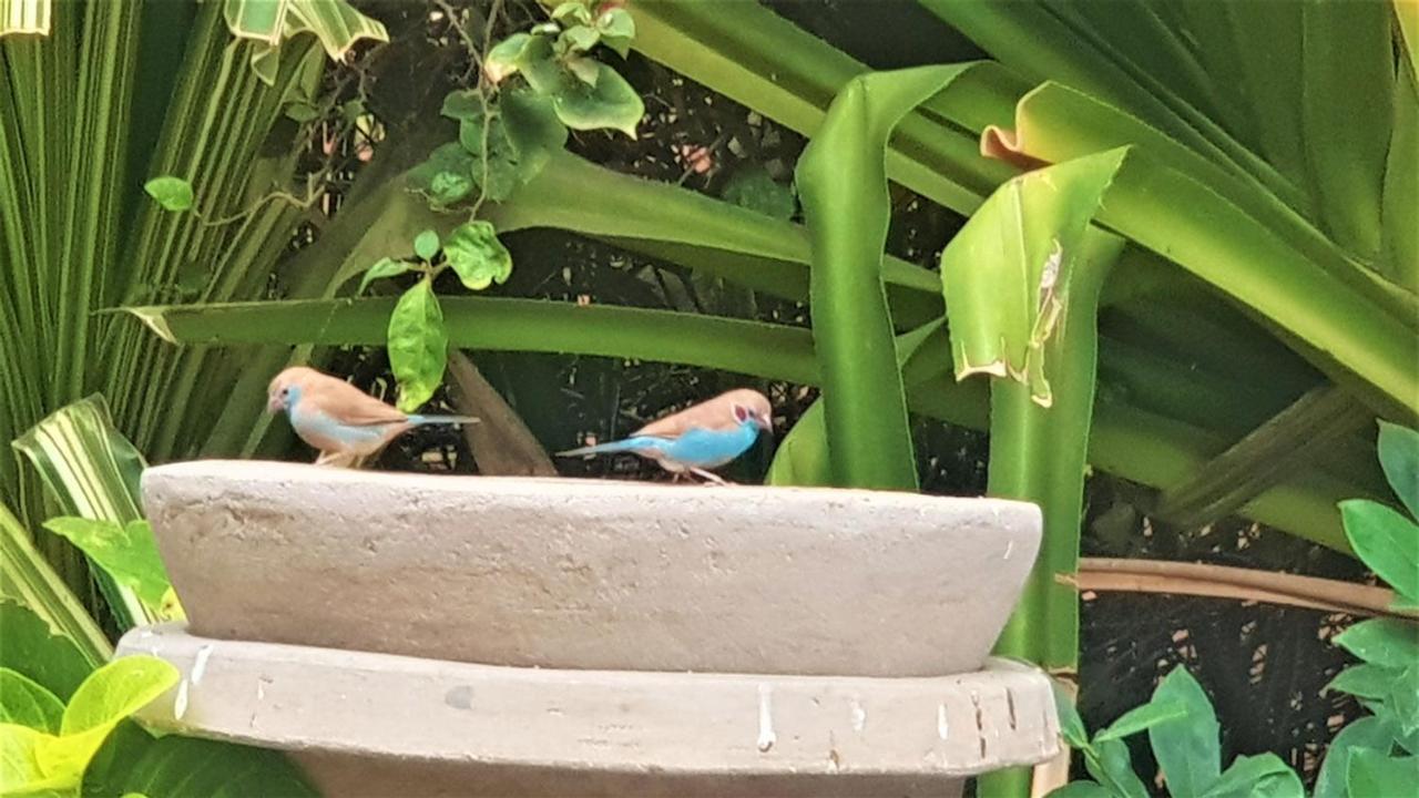 Villa Met Prive Zwembad In Residence Safari Village Saly Portudal Zewnętrze zdjęcie