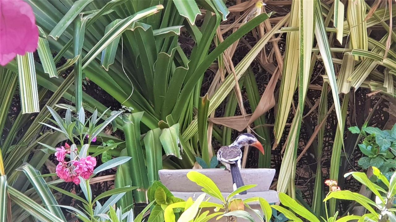 Villa Met Prive Zwembad In Residence Safari Village Saly Portudal Zewnętrze zdjęcie