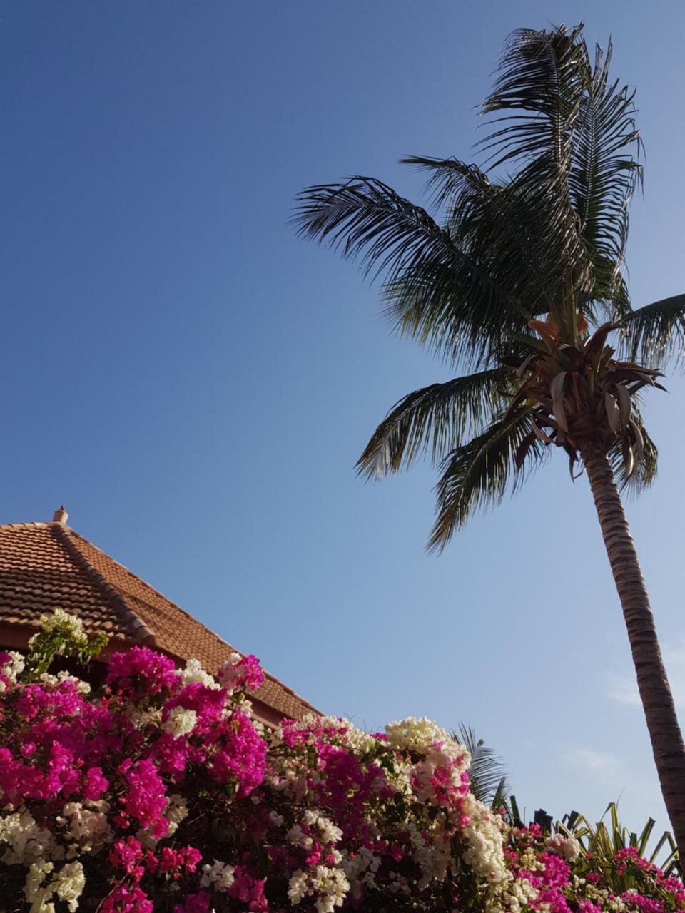 Villa Met Prive Zwembad In Residence Safari Village Saly Portudal Zewnętrze zdjęcie